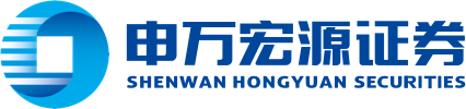 SHENWAN HONGYUAN SECURITIES